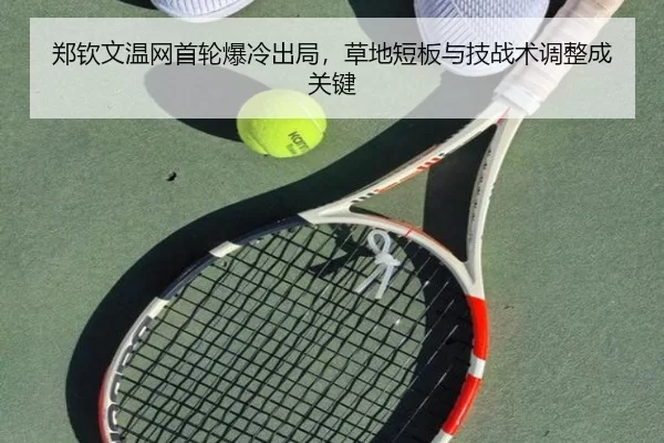 zheng-qin-wen-wen-wang-shou-lun-bao-leng-chu-ju-cao-di-duan-ban-yu-ji-zhan-shu-tiao-zheng-cheng-guan-jian-2-184.jpg