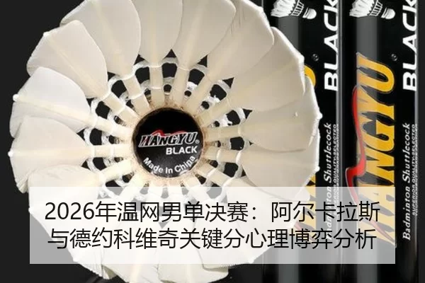 nian-wen-wang-nan-dan-jue-sai-a-er-ka-la-si-yu-de-yue-ke-wei-qi-guan-jian-fen-xin-li-bo-yi-fen-xi-3-420.jpg